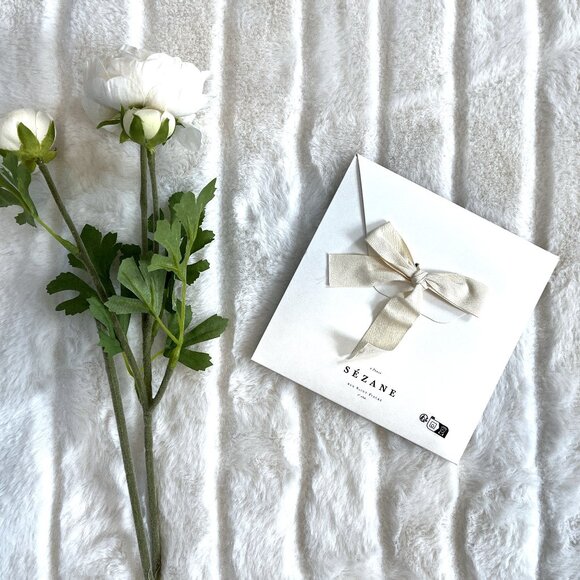 NWT Sezane Gaston Le Foulard Pour La Vie Scarf (Terracotta) - Picture 6 of 6